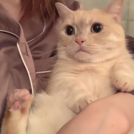 ママさんに抱っこされるみゅうちゃん