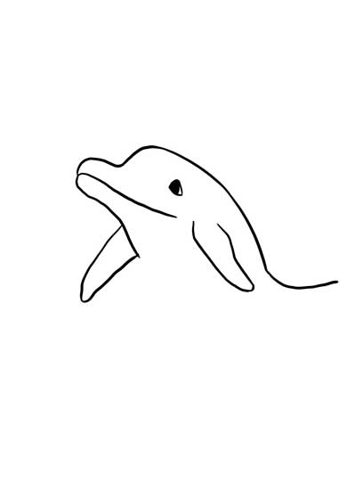 ワイルドモルモット イラスト 何を描いている 正解 絵