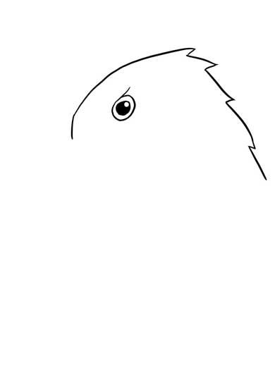 ワイルドモルモット イラスト 何を描いている 正解 絵