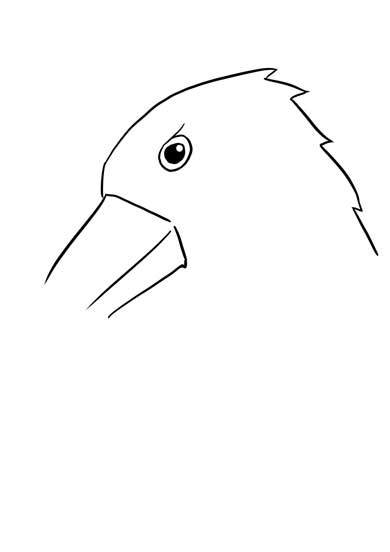 ワイルドモルモット イラスト 何を描いている 正解 絵