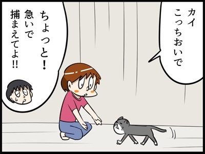 じゃじゃ嫁日記