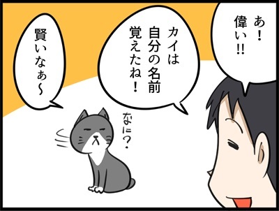 じゃじゃ嫁日記