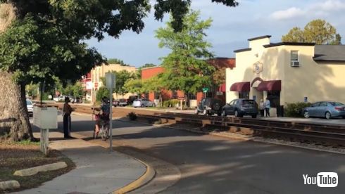 海外 YouTube アメリカ 貨物列車 ディーゼル機関車 アムトラック オートトレイン