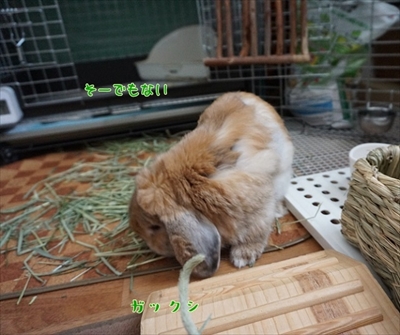 もんじももじじ