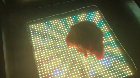 出てきたのはコロッケでした