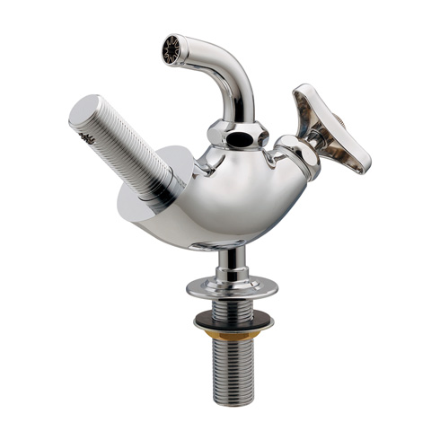 すってんころりんの写真