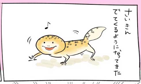 漫画 イラスト 松本ひで吉 トカゲ ヒョウモントカゲモドキ かわいい