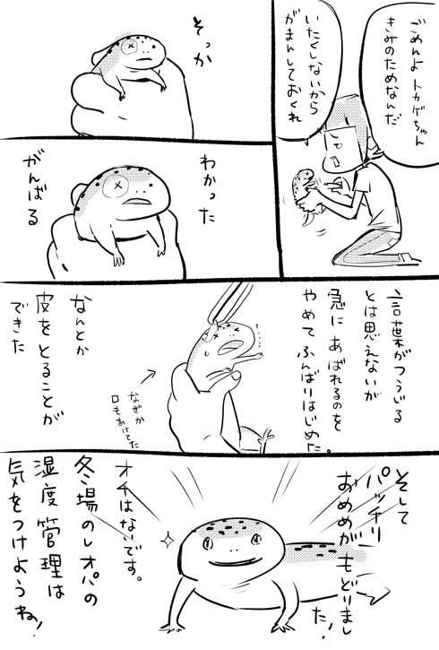 漫画 イラスト 松本ひで吉 トカゲ ヒョウモントカゲモドキ かわいい