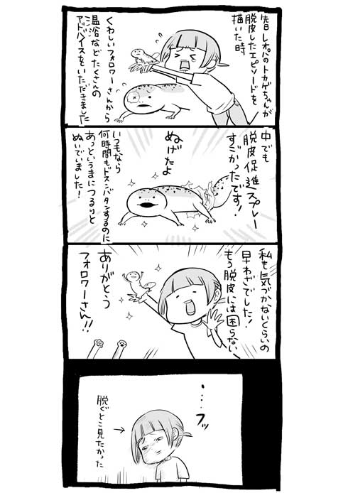 漫画 イラスト 松本ひで吉 トカゲ ヒョウモントカゲモドキ かわいい