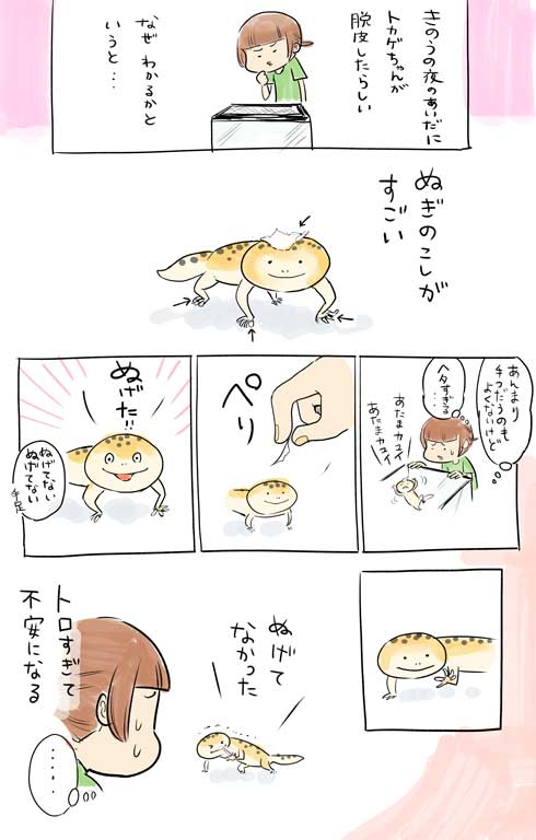漫画 イラスト 松本ひで吉 トカゲ ヒョウモントカゲモドキ かわいい