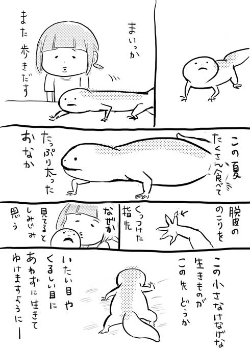 漫画 イラスト 松本ひで吉 トカゲ ヒョウモントカゲモドキ かわいい