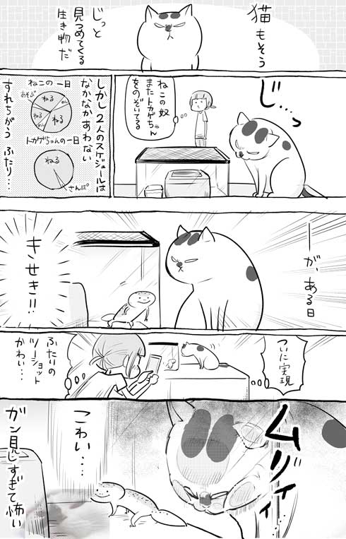 漫画 イラスト 松本ひで吉 トカゲ ヒョウモントカゲモドキ かわいい