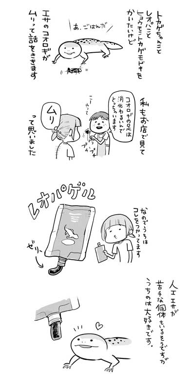 漫画 イラスト 松本ひで吉 トカゲ ヒョウモントカゲモドキ かわいい