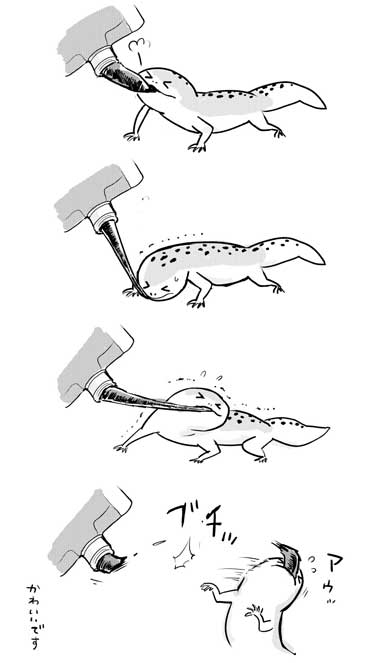 漫画 イラスト 松本ひで吉 トカゲ ヒョウモントカゲモドキ かわいい