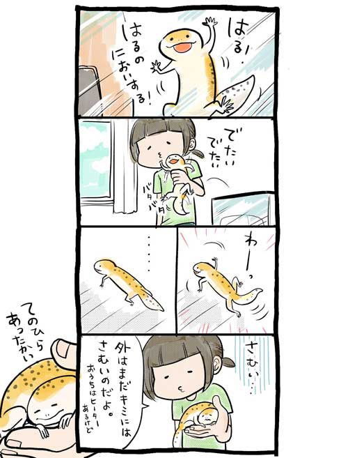 漫画 イラスト 松本ひで吉 トカゲ ヒョウモントカゲモドキ かわいい