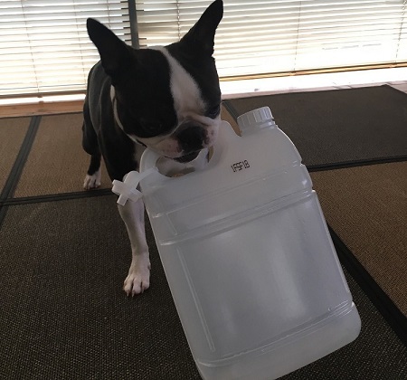 ペット手帳 ベストショット