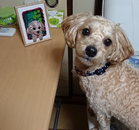 ペット手帳 ベストショット