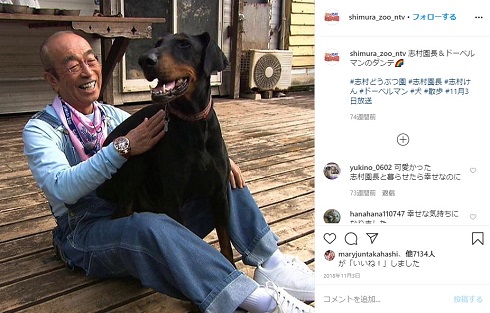 志村どうぶつ園 ドーベルマン ダンテ 志村けん