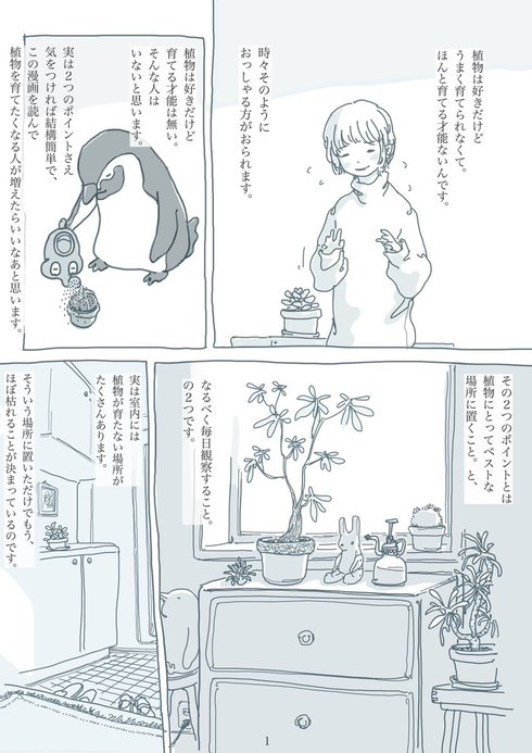 観葉植物と暮らす上で大切なたった2つのこと01