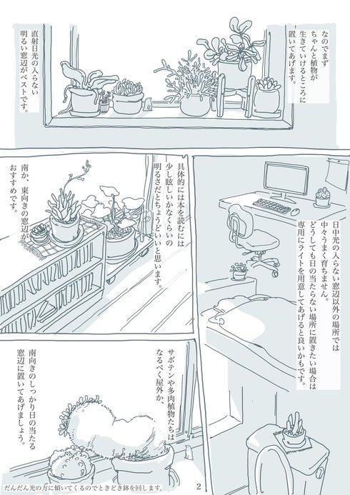 観葉植物と暮らす上で大切なたった2つのこと02