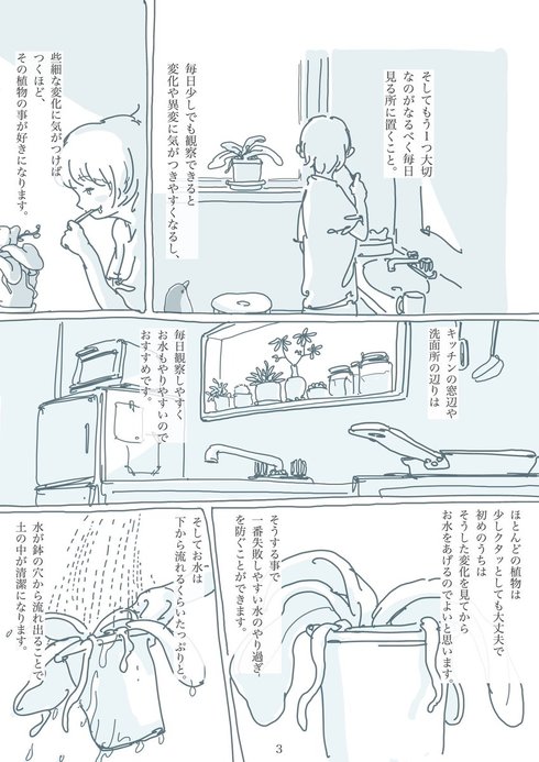 観葉植物と暮らす上で大切なたった2つのこと03