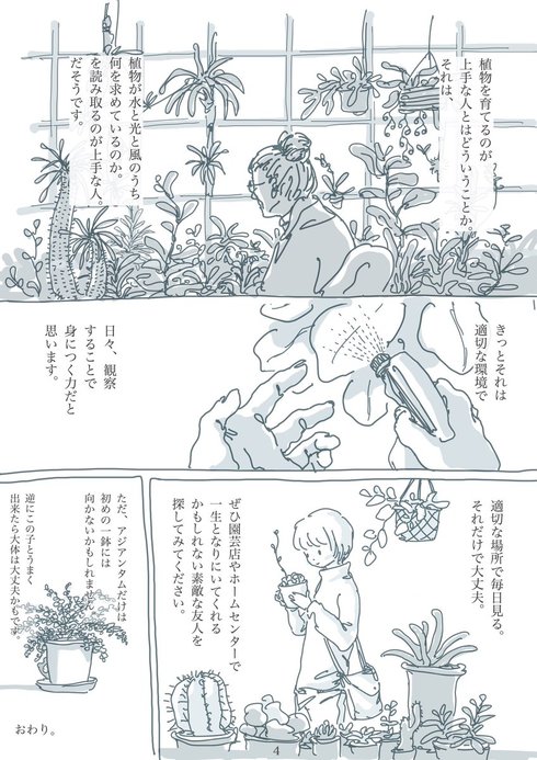 観葉植物と暮らす上で大切なたった2つのこと04