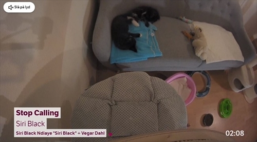 ノルウェーの猫ちゃん