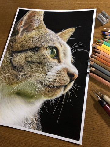 あぶない猫科　鉛筆画 あぶない猫科 鉛筆画 - メルカリ
