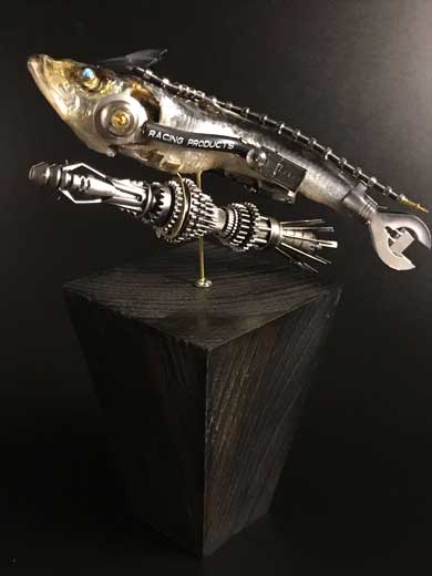 煮干し アート 空想世界 生物兵器 スター魚ーズ デザインフェスタ 51 中止 出展予定 作品