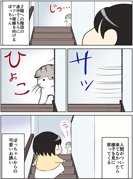 かわいいお誘い