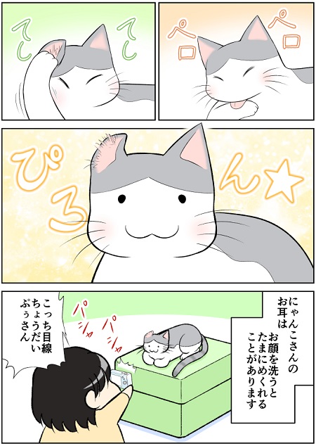 耳がめくれちゃってる