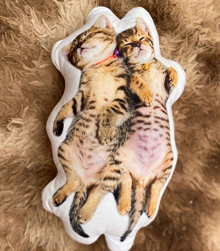 イトさんとバンさんクッション