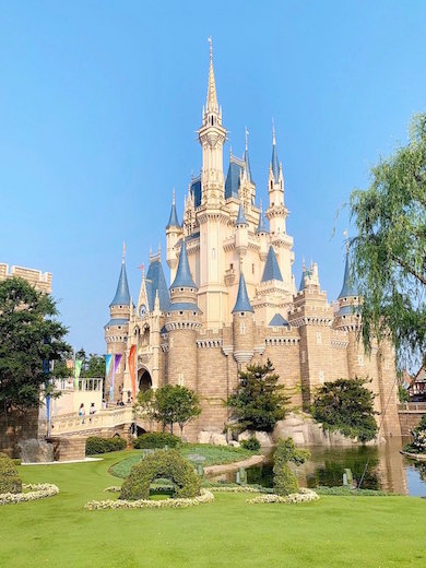 東京ディズニーリゾートSNS