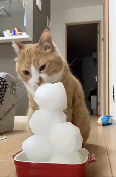 ねこ雪だるま