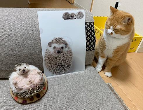さにたすさんてちくわ丸の人さん