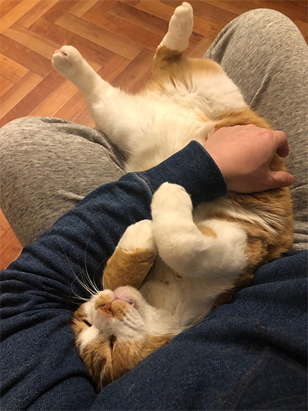 ちゃしろお兄ちゃん