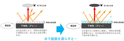 パイロット 水書きお習字練習シート 水書用紙