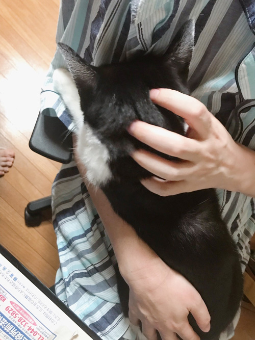 ひざに乗る雄山さん