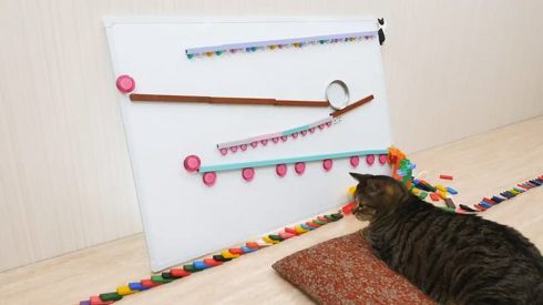 ねこナビ ネコとドミノ ぶるる君 べるる君