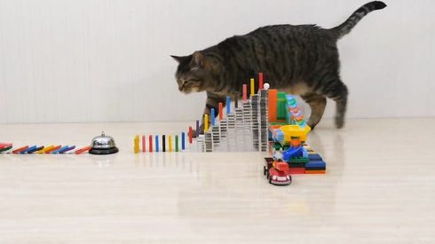 ねこナビ ネコとドミノ ぶるる君 べるる君