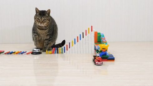 ねこナビ ネコとドミノ ぶるる君 べるる君