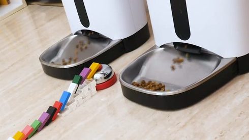 ねこナビ ネコとドミノ ぶるる君 べるる君