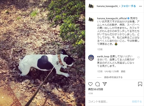 川口春奈 新型コロナウイルス インスタ 外出自粛 愛犬 散歩