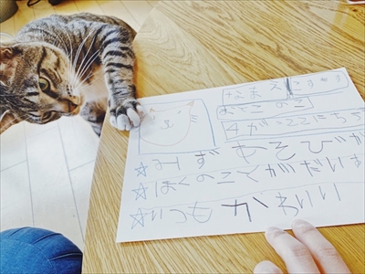 たいとコスモス、ときどきザクロ