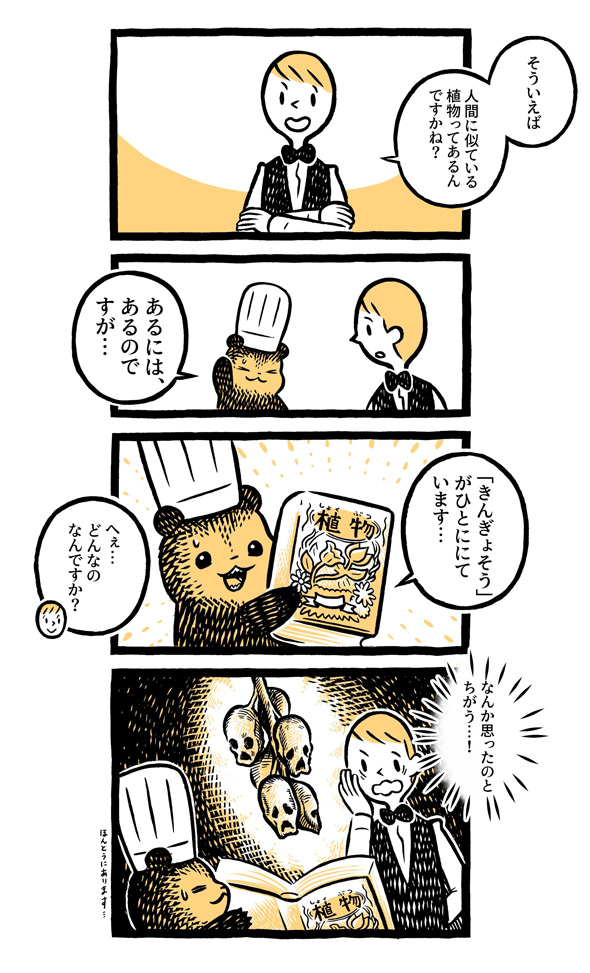 こぐまのケーキ屋さん