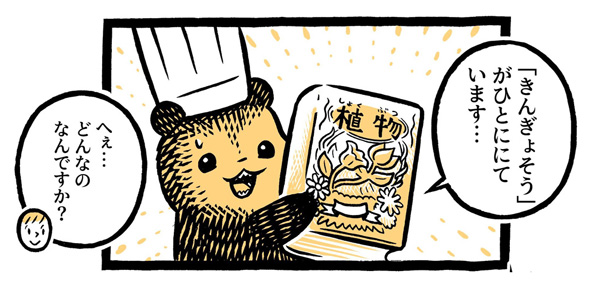 こぐまのケーキ屋さん