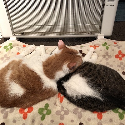 ほっぺ