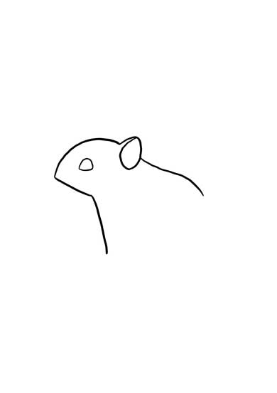 ワイルドモルモット 4枚で完成するシリーズ 絵 当てる 正解