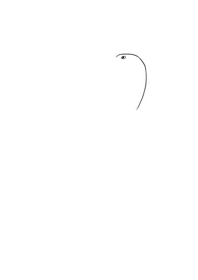 ワイルドモルモット 4枚で完成するシリーズ 絵 当てる 正解