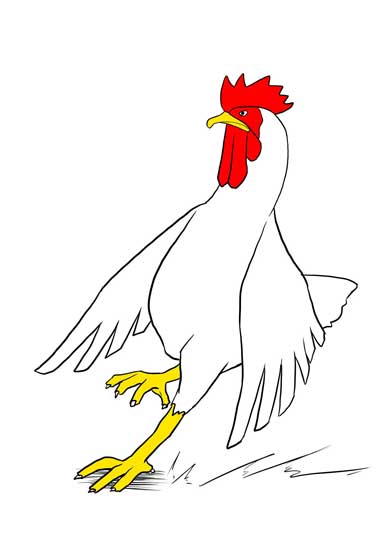 ワイルドモルモット 4枚で完成するシリーズ 絵 当てる 正解